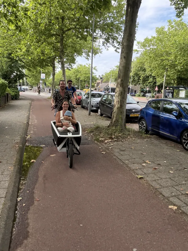 A tree-lined Haarlem street with a cargo bike