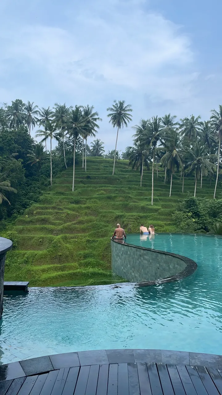 Infinity pool edge overlooking palm trees and green terraces