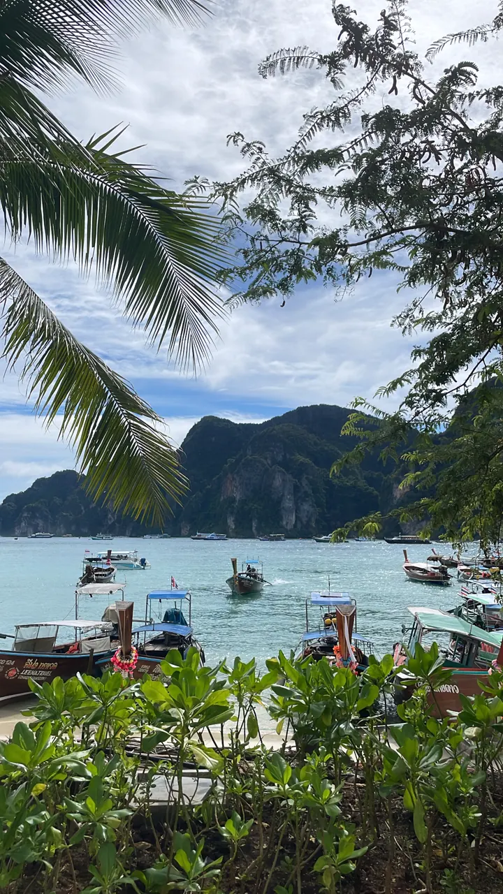 Bay full of boats seen through palm fronds with karst islands behind