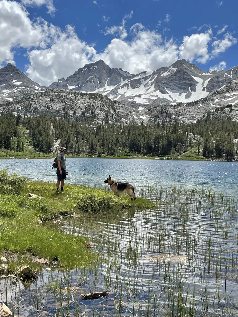 Jack, our German Shepherd, and a person wading in an alpine lake below snowy Sierra peaks