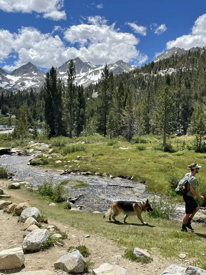 A person hiking with Jack, our German Shepherd, beside a rocky creek with pines and snowy peaks