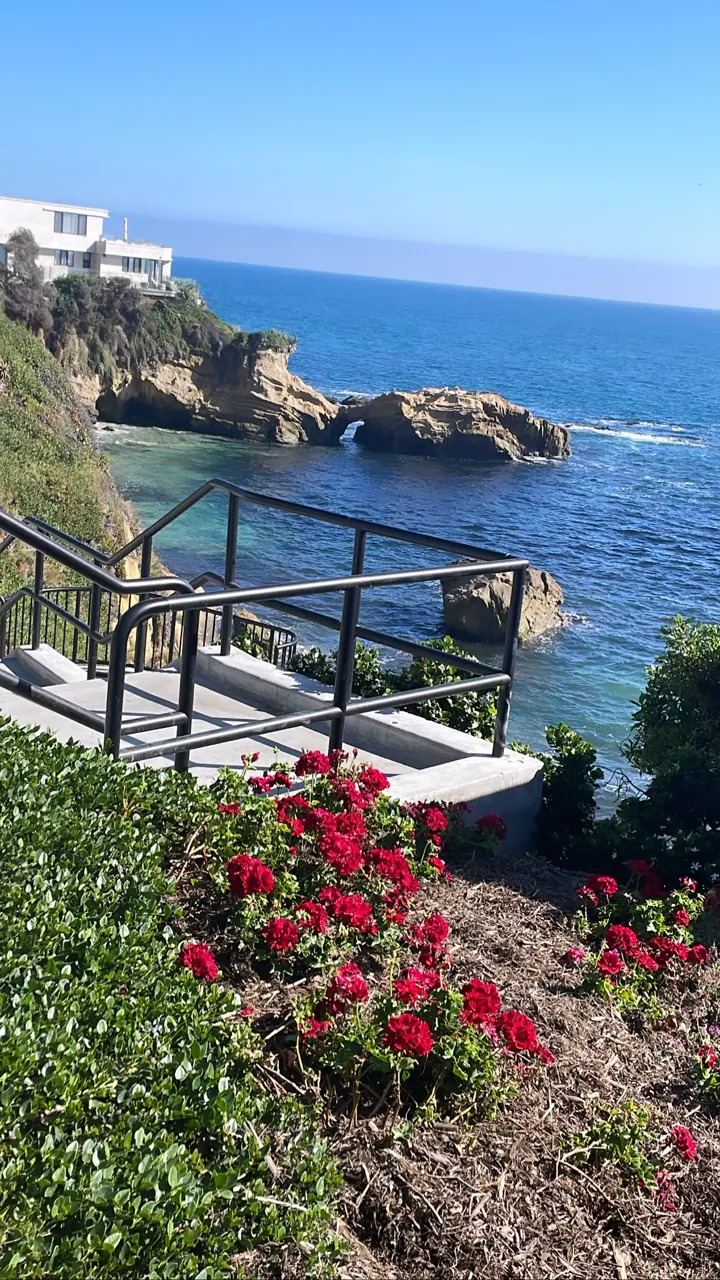 Rocky cliffs, blue ocean and red flowers below a clifftop terrace on the Laguna Beach coast