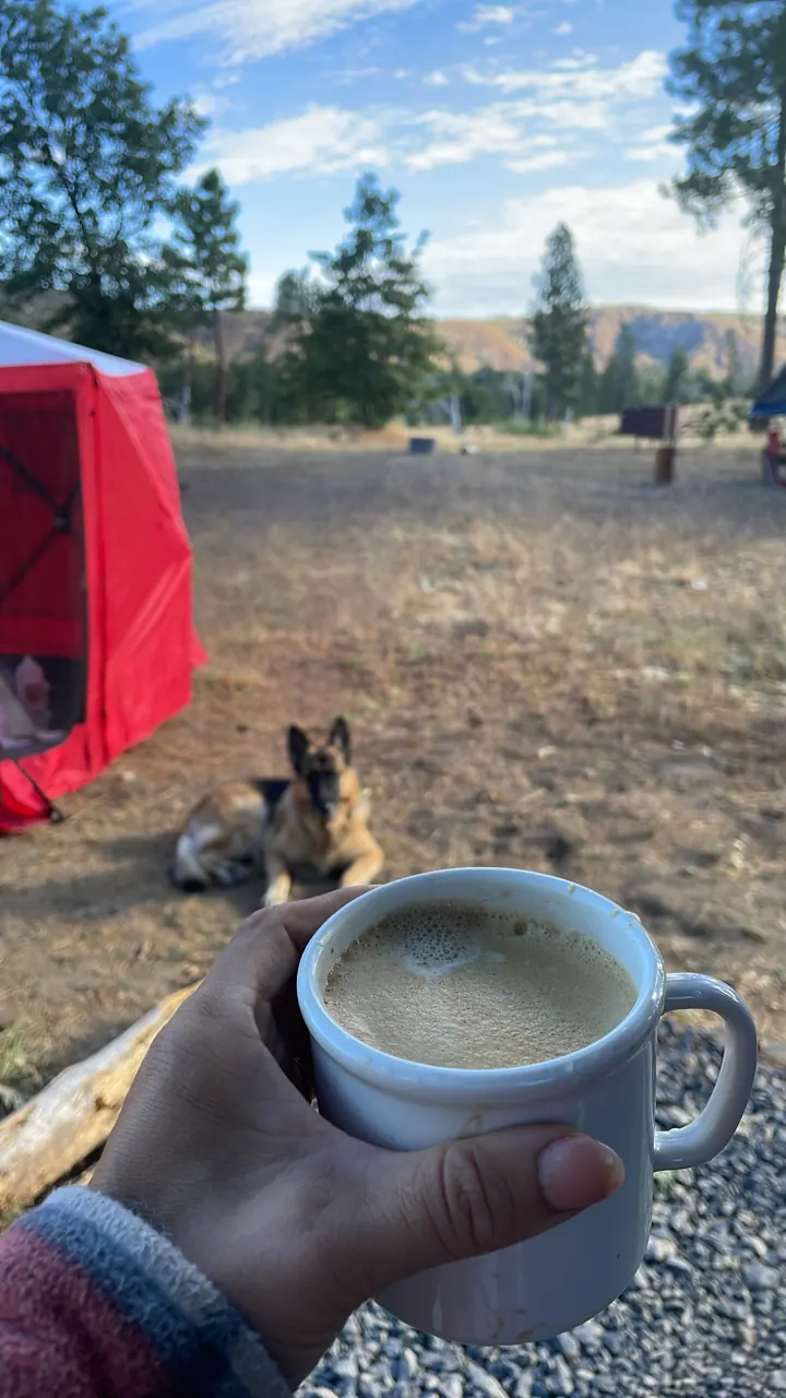 A hand holding a mug of coffee at a dirt campsite with a red tent and Jack, our German Shepherd, nearby