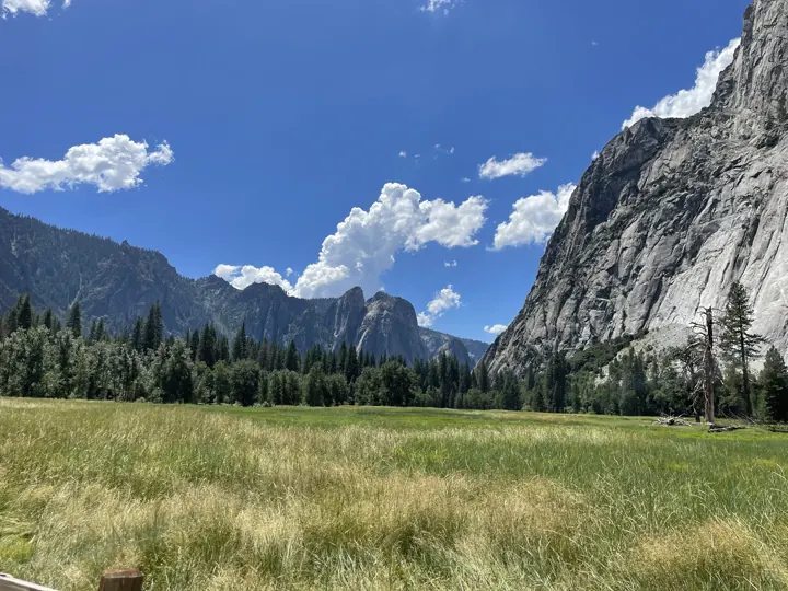 A green Yosemite Valley meadow beneath a towering granite cliff and blue sky