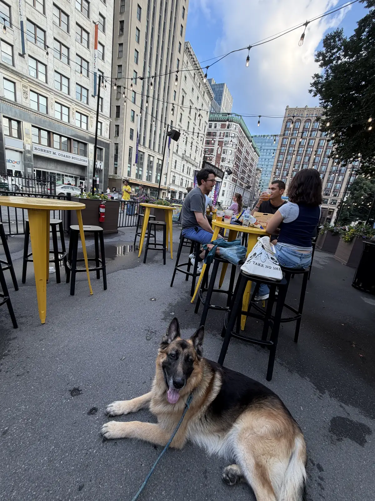 Our German Shepherd lying under a patio table in Boston