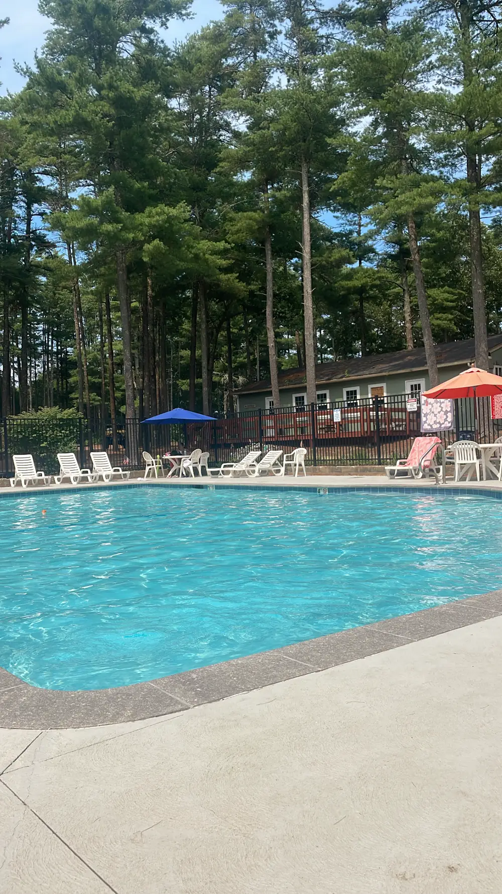 A campground pool surrounded by pine trees