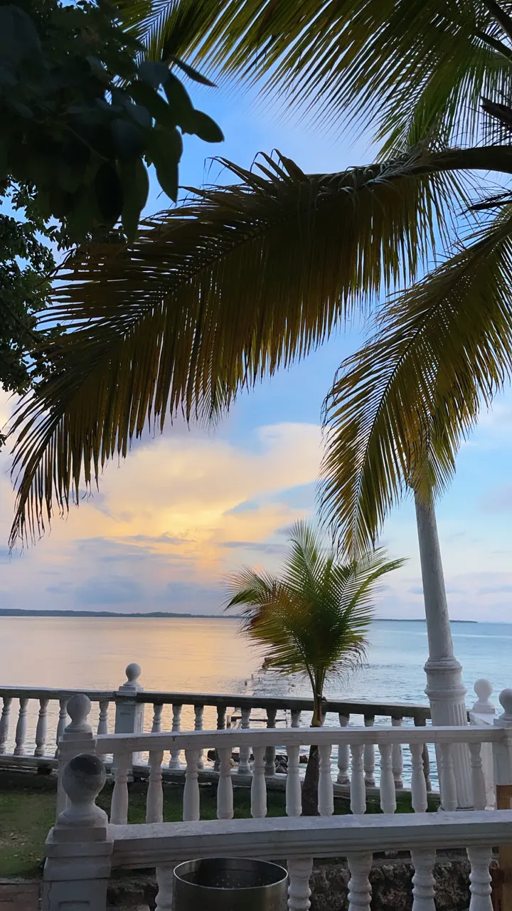 Palm trees silhouetted against a soft Caribbean sunset