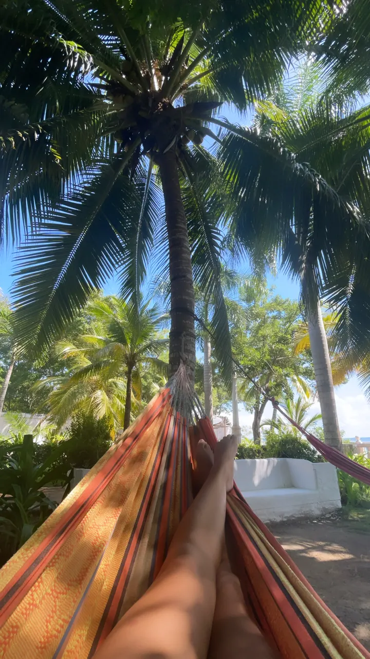 Feet in a hammock strung between palm trees