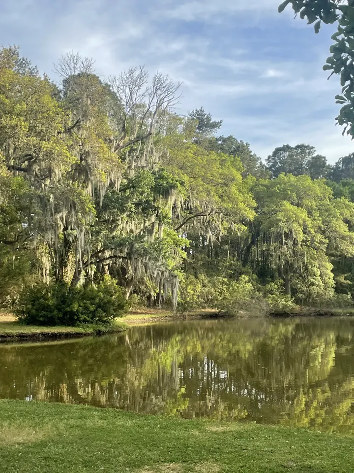 A marsh lined with live oaks near Charleston at golden hour