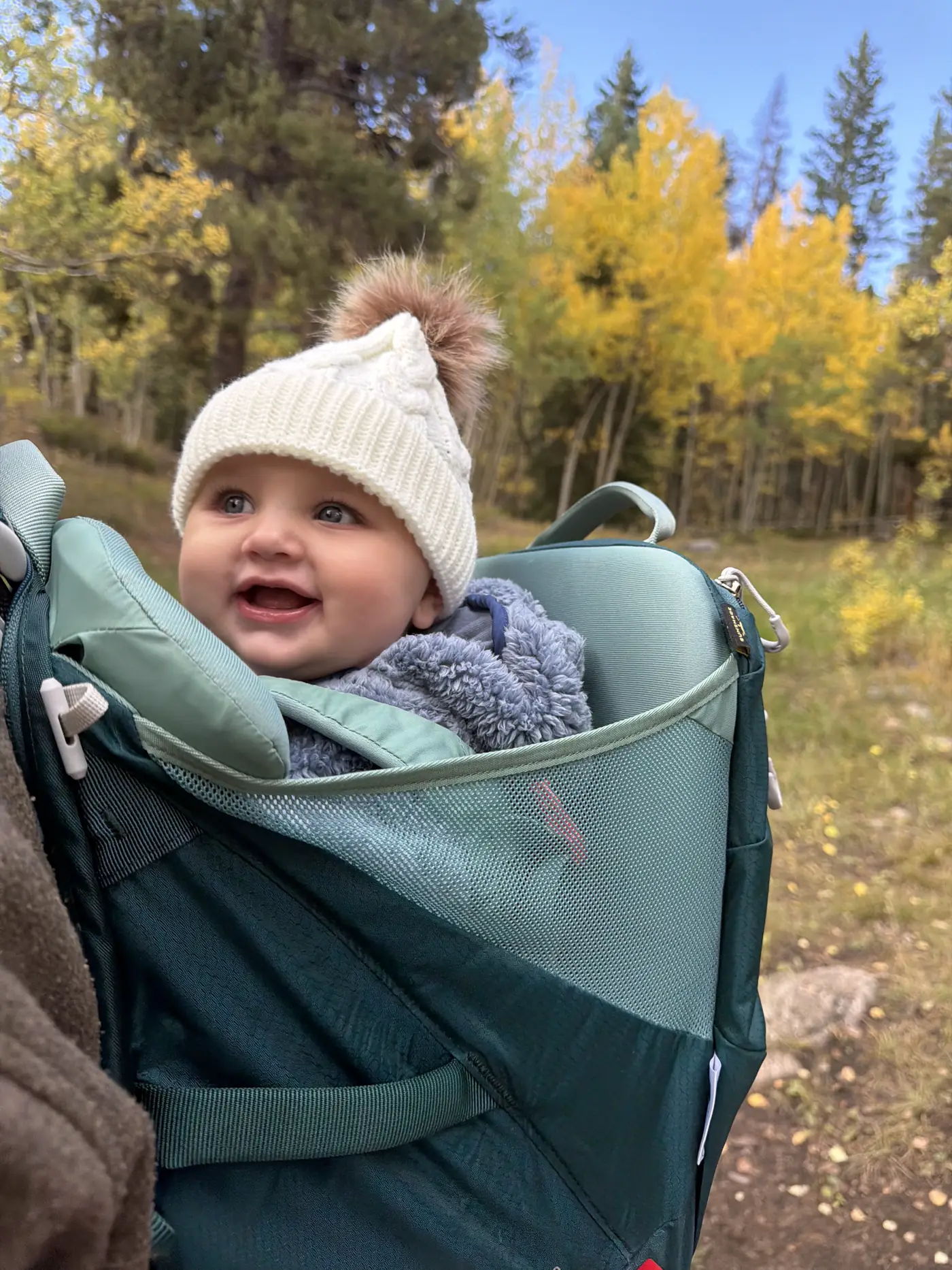 Andi in a teal framed hiking carrier among yellow aspens