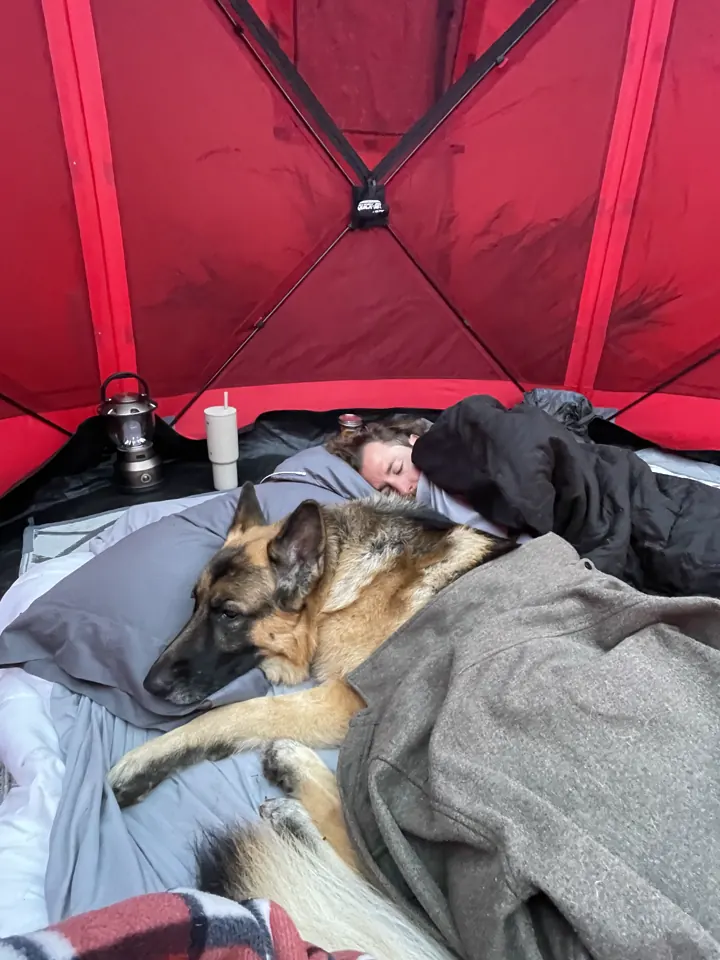 Jack, our German Shepherd, sleeping inside a tent with a red canopy