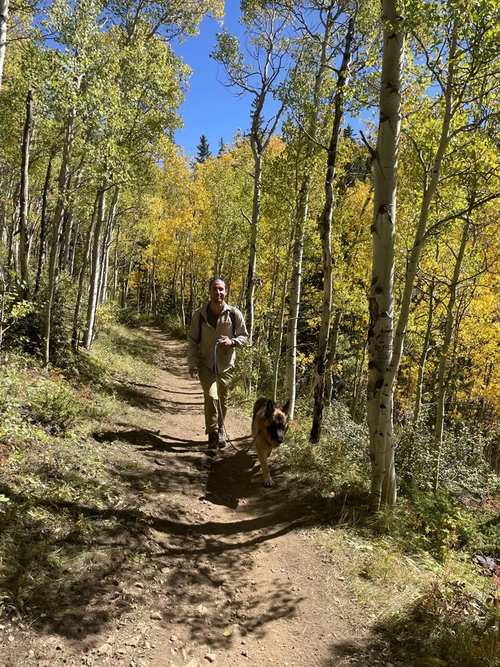 Hiker on a dirt trail through golden aspens in Breckenridge