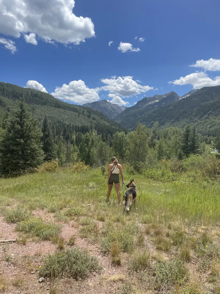 Hiking with Jack, our German Shepherd, through a green mountain meadow
