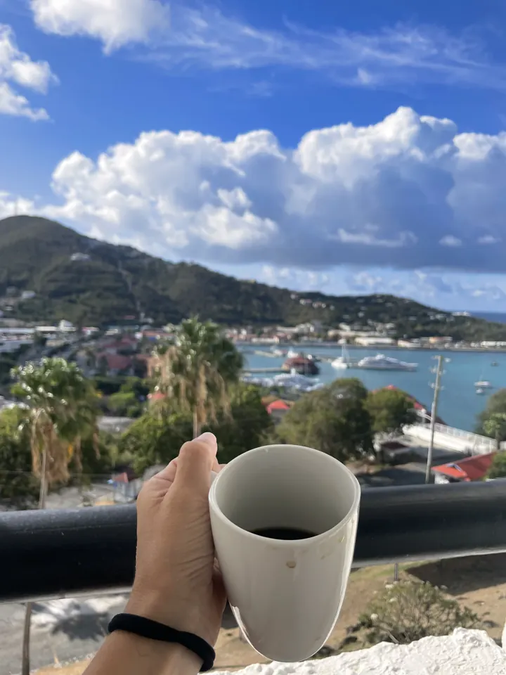 A hand holding a coffee mug over a view of a harbor town and hills