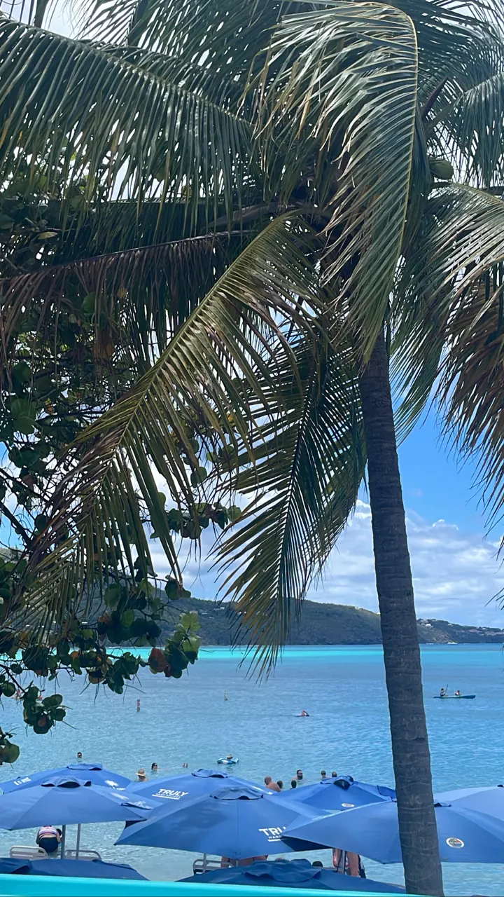Palm fronds framing a beach with blue umbrellas and turquoise water