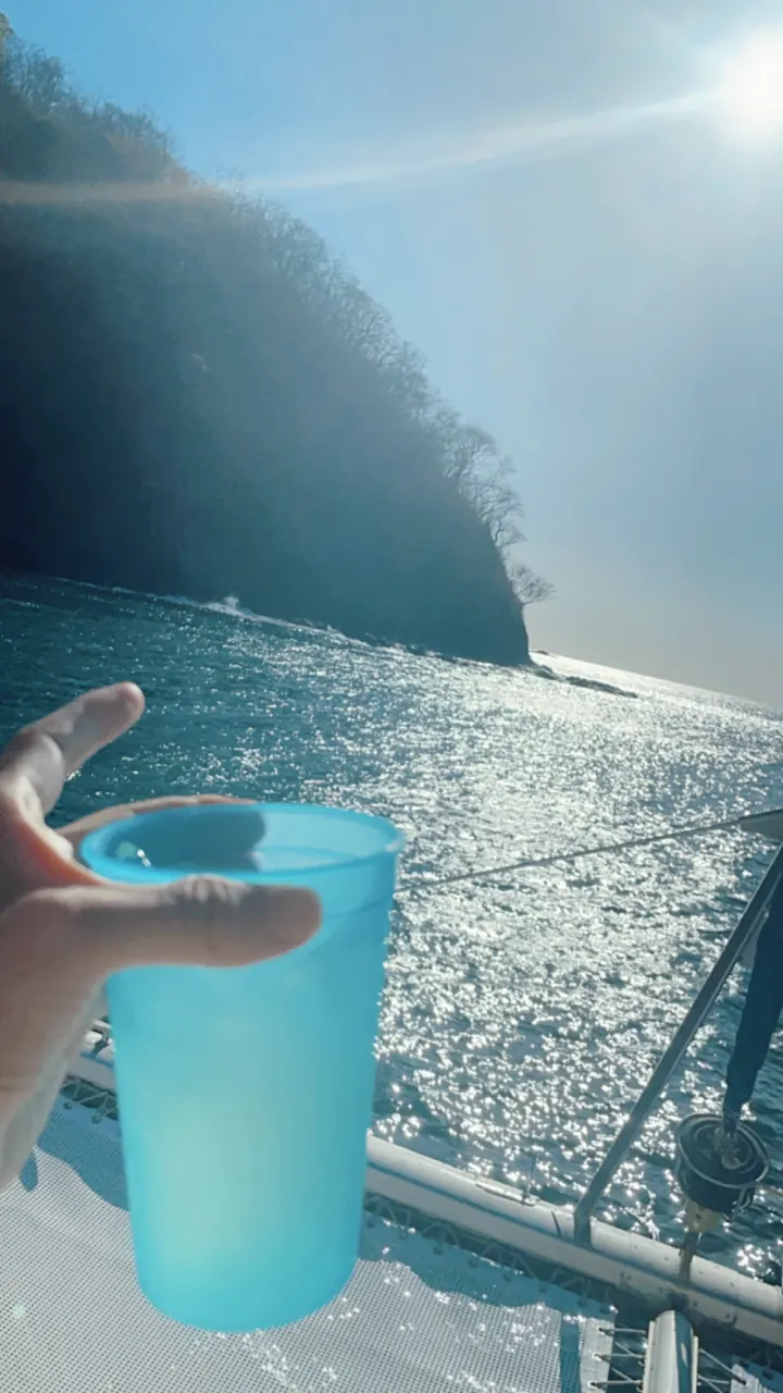 A drink cup raised on a boat with a green headland and sparkling sea