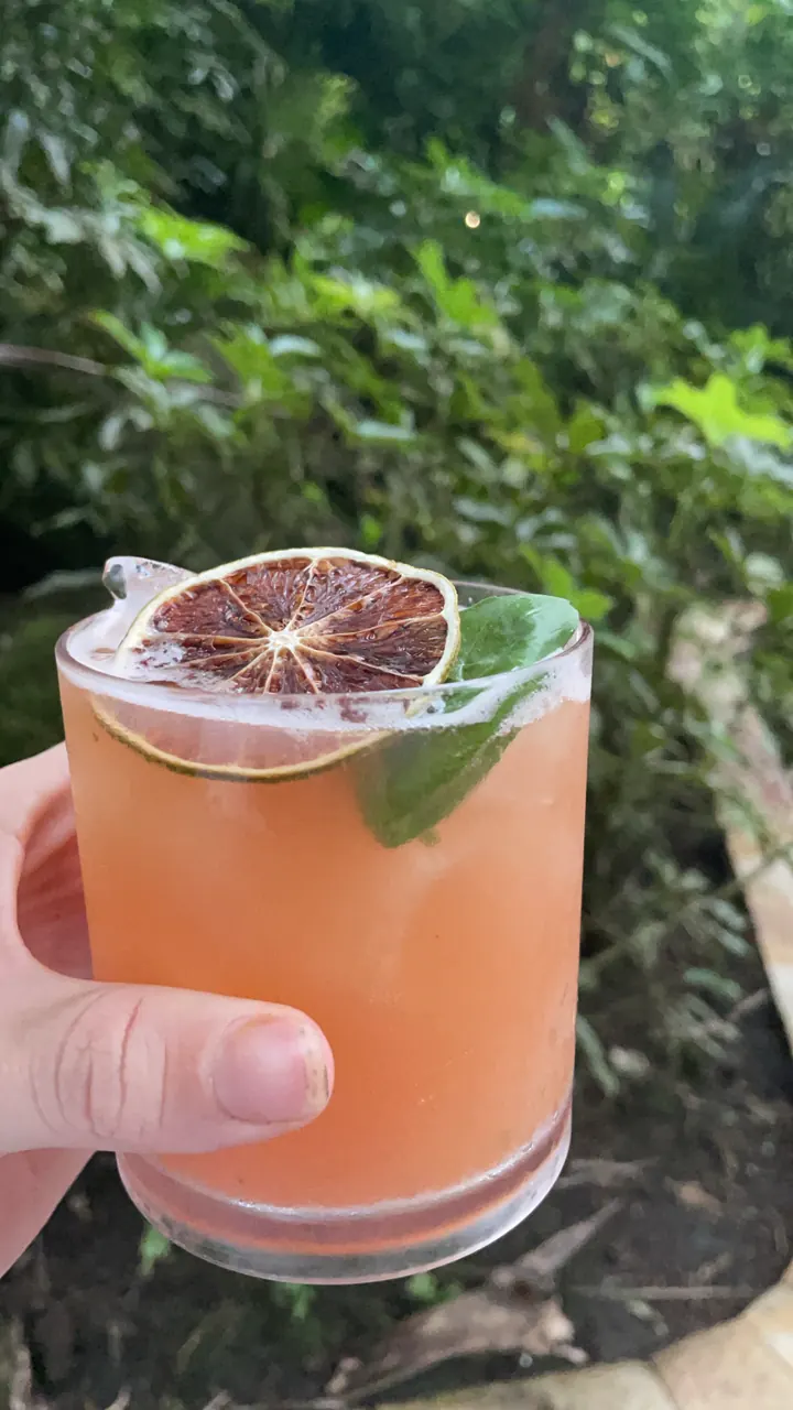 A hand holding a grapefruit cocktail with a citrus slice and herbs