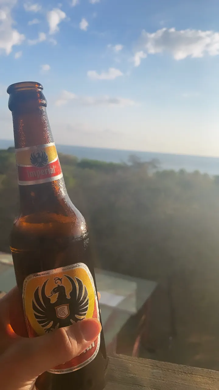 A bottle of Imperial beer held up against the sky at the beach