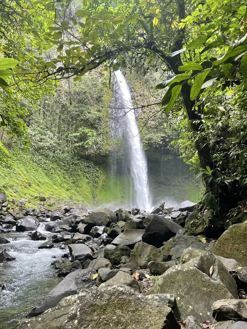 A tall waterfall falling into a pool surrounded by boulders and jungle