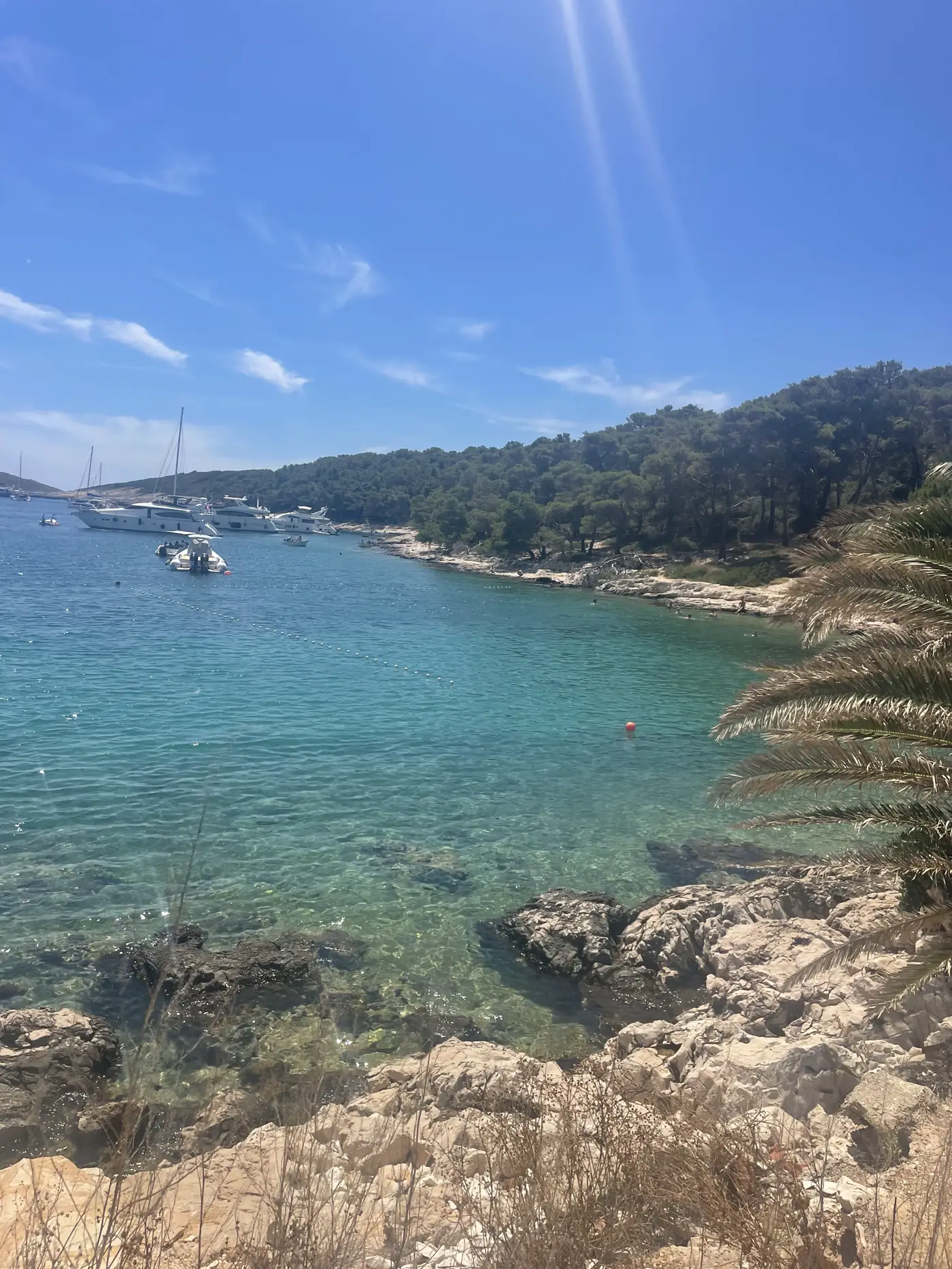 Clear turquoise cove with rocky shore and boats anchored off a pine-covered coast