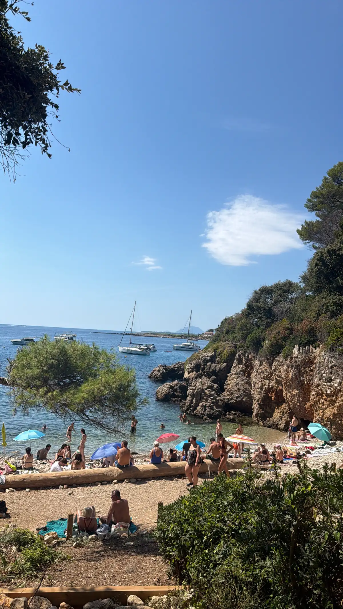 Beach cove in Antibes with a rocky headland, pines and blue sea