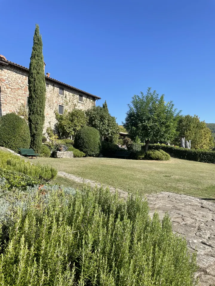 Stone villa with cypress trees and rosemary in a sunny garden