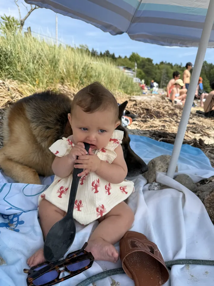 Our German Shepherd and baby Andi together under a beach umbrella
