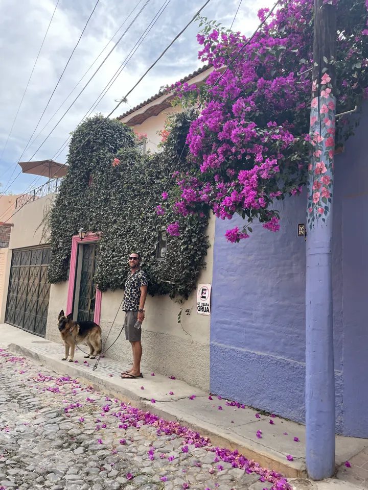 Cobblestone street with pink bougainvillea spilling over walls