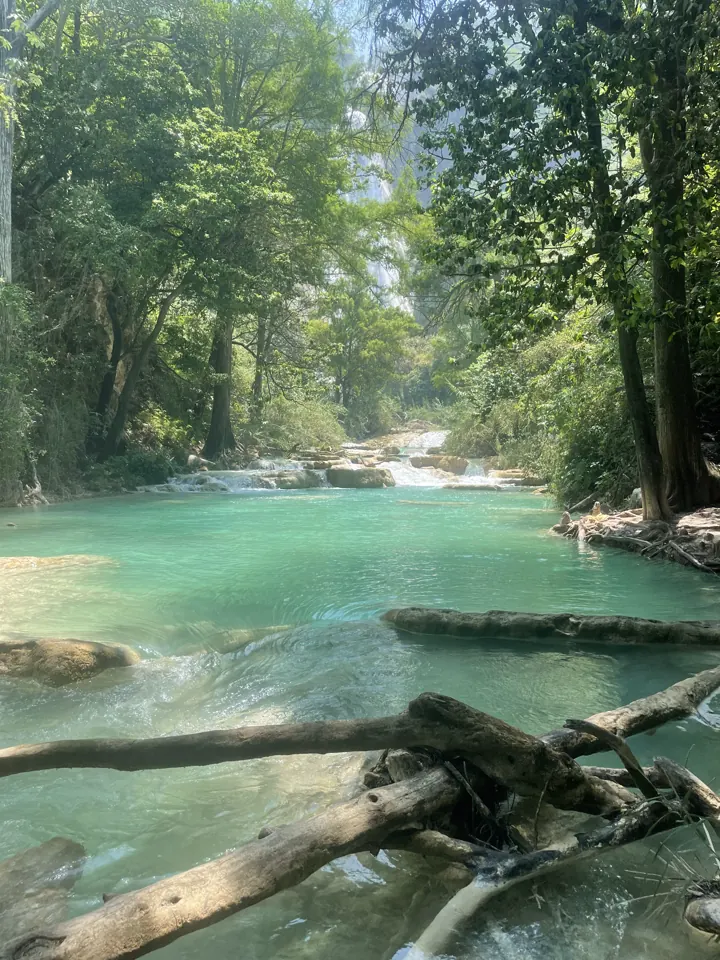 Turquoise river flowing through green forest