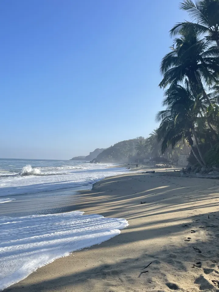 Waves washing onto a sandy beach framed by palm trees