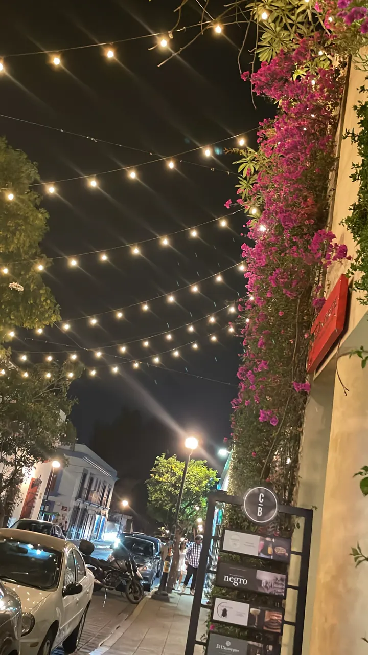 Oaxaca street at night with string lights and bougainvillea