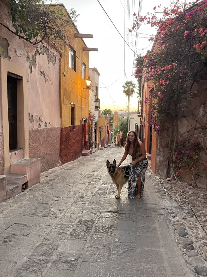 Jack, our German Shepherd, walking down a sunlit cobblestone alley