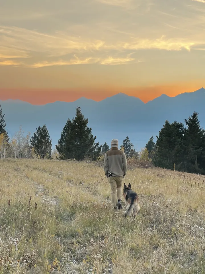 A person walking Jack, our German Shepherd, through a grassy meadow at sunset