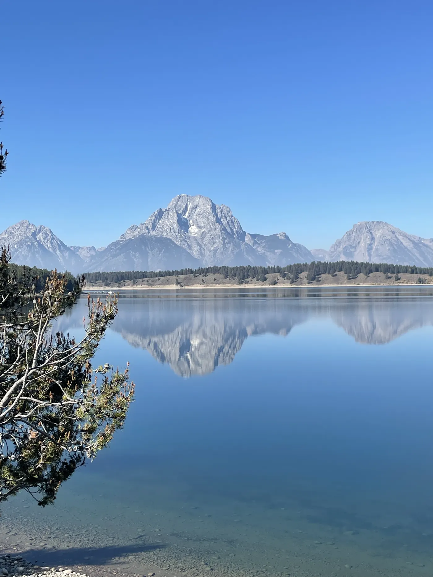 Mount Moran mirrored in the still, blue water of Jackson Lake
