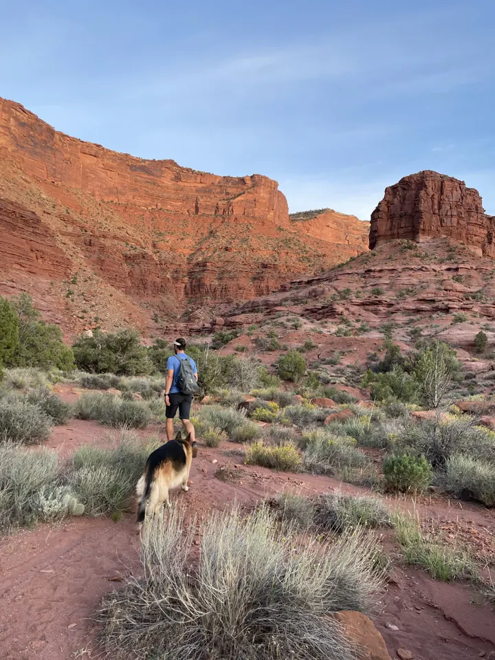 A hiker with Jack, our German Shepherd, on a sandy trail beneath towering red cliffs