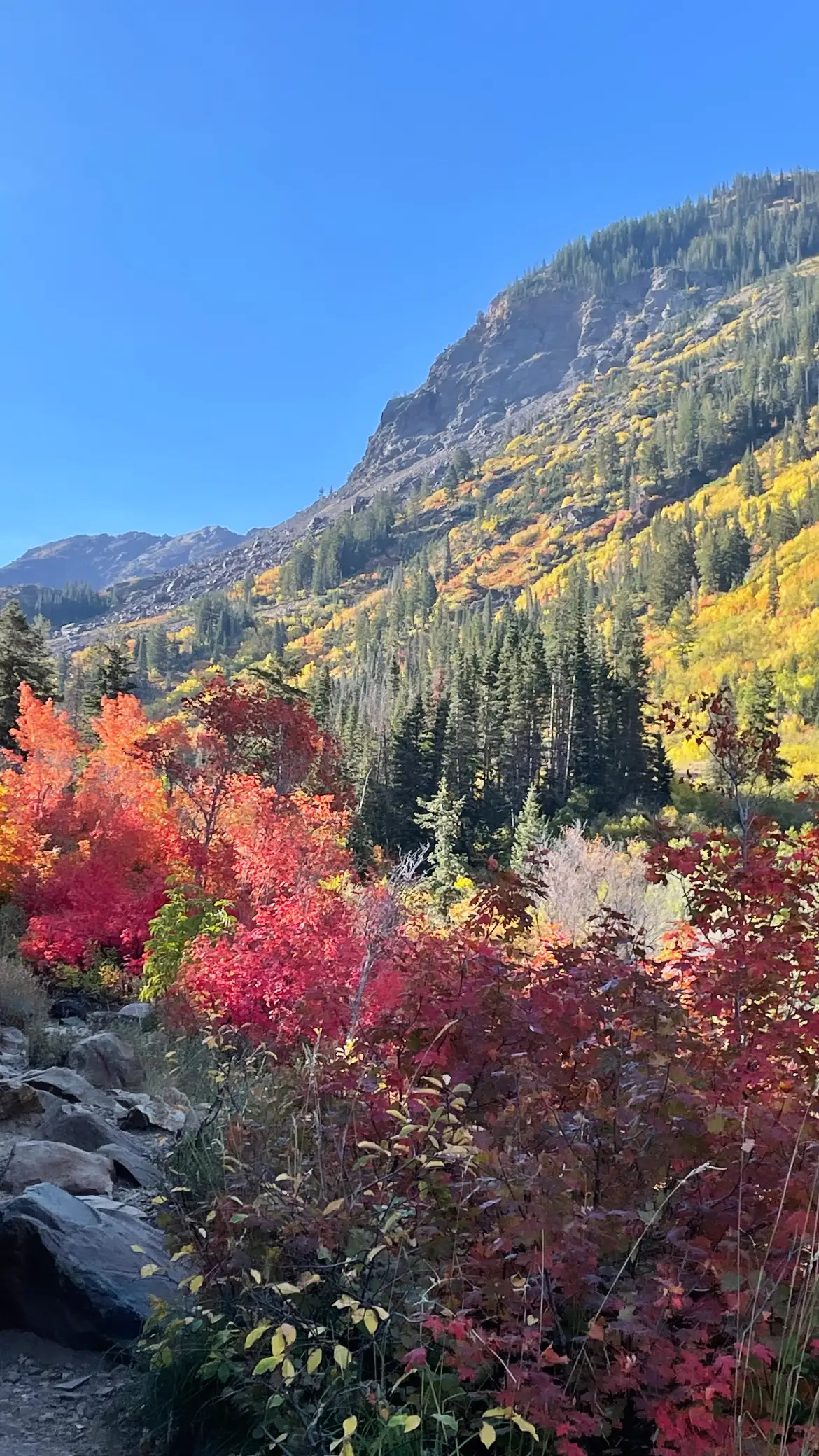 Red and orange maples and golden aspens below rugged peaks in a Wasatch canyon