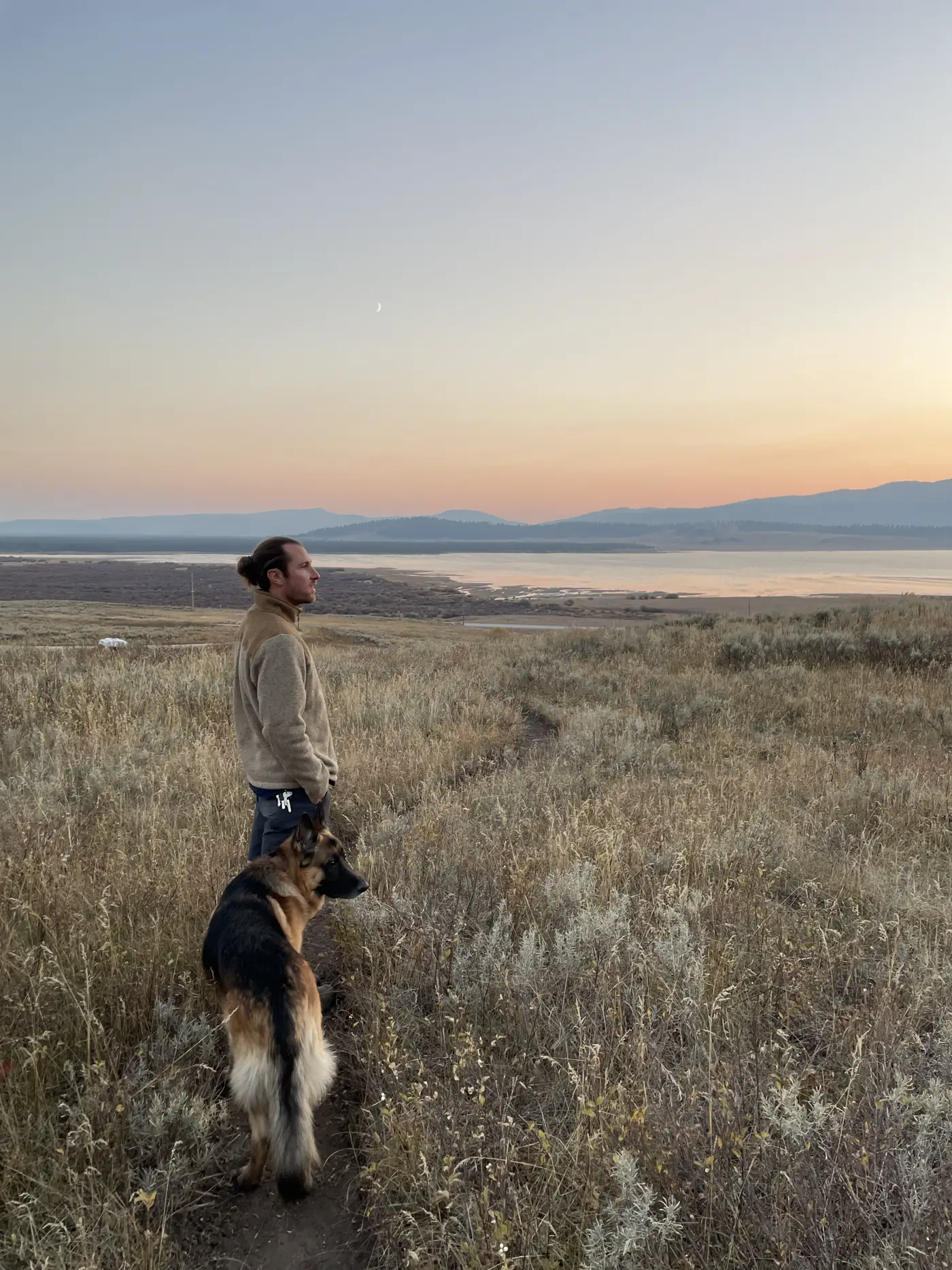 Colin standing with Jack, our German Shepherd, in tall golden grass at sunset