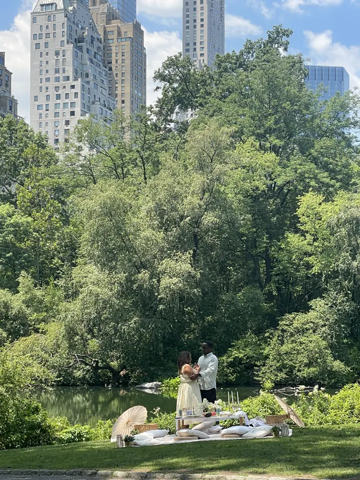 A pond in Central Park with the skyline behind the trees