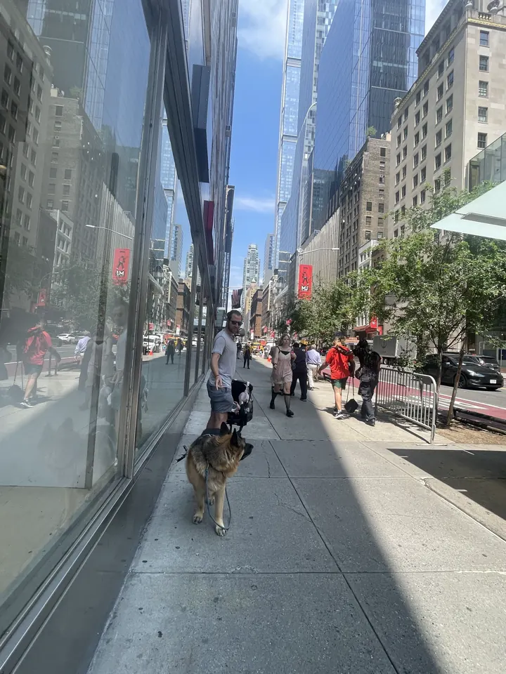 Jack walking on a Manhattan sidewalk