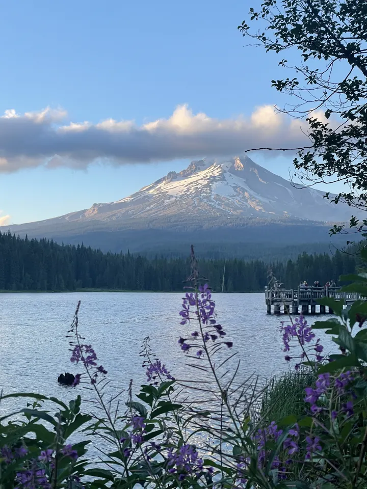 Mount Hood over a lake with purple wildflowers in the foreground