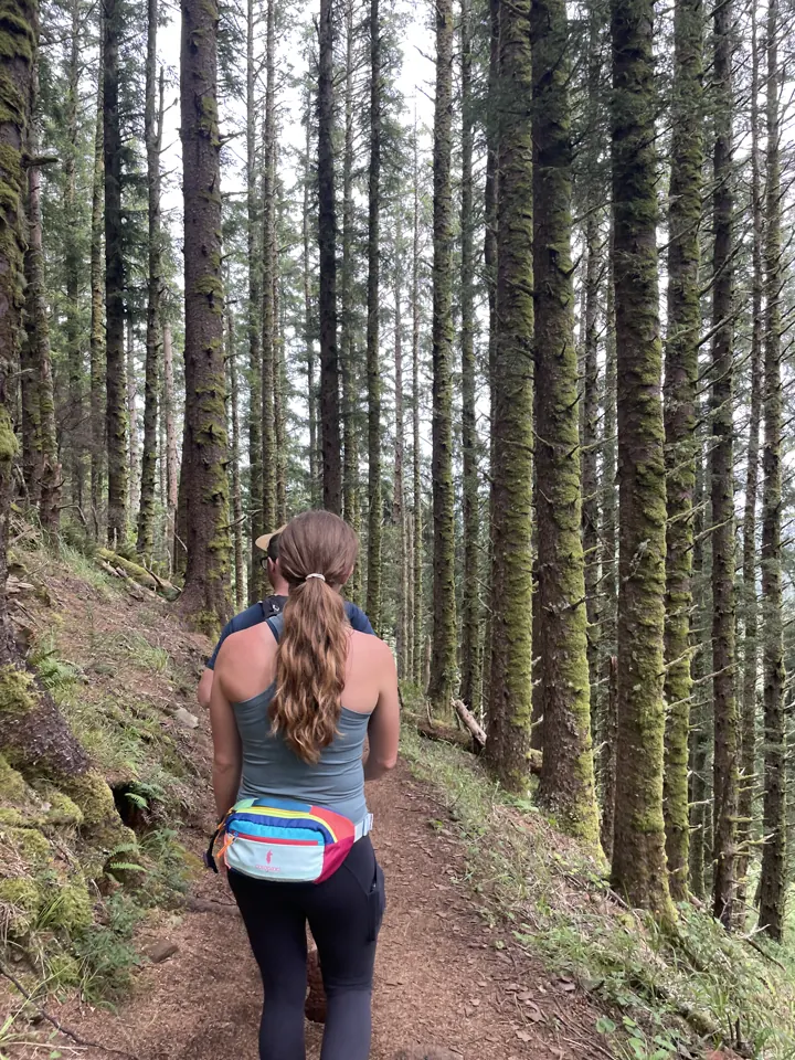 A woman hiking a trail through tall evergreen trees