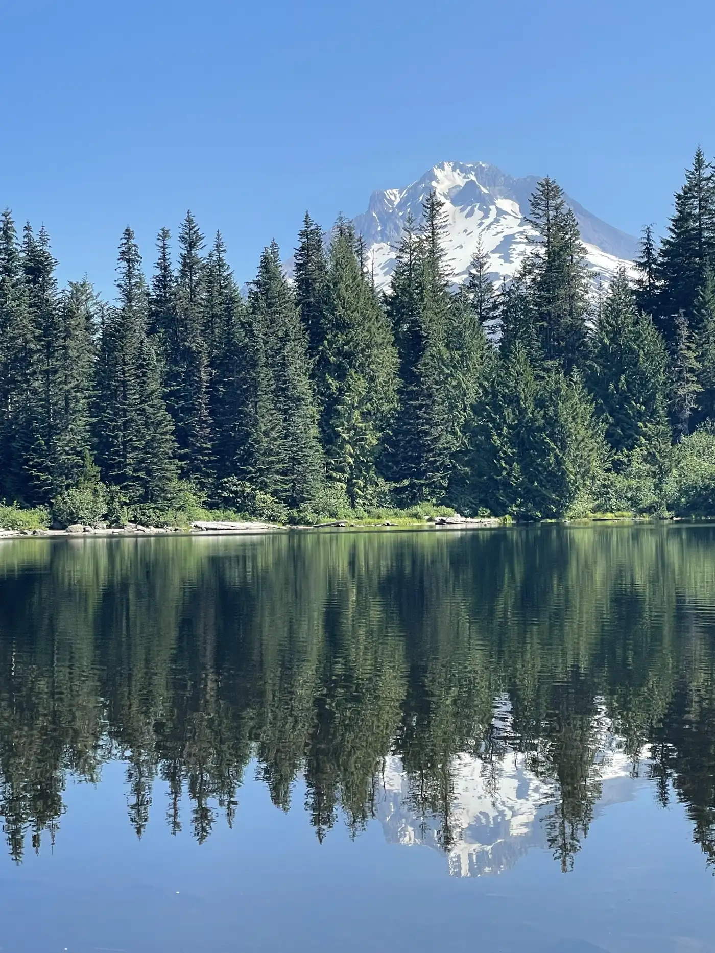 Mount Hood reflected in the calm water of Trillium Lake