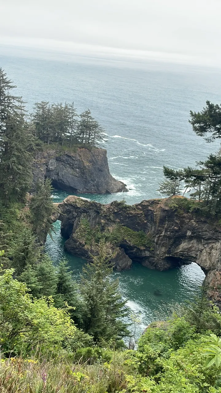 Forested cliffs and a natural rock arch over the ocean