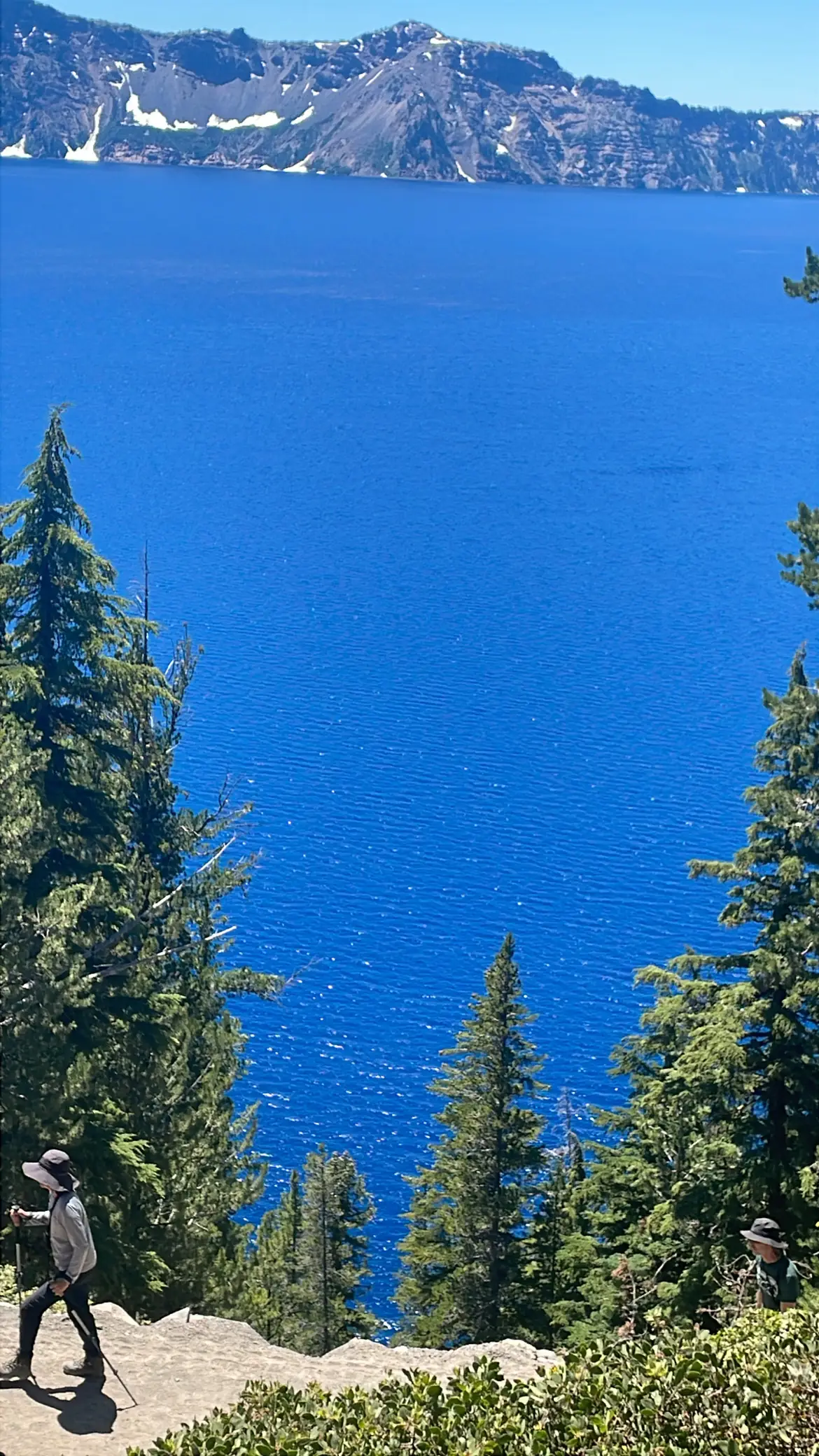 Deep blue Crater Lake framed by evergreen trees