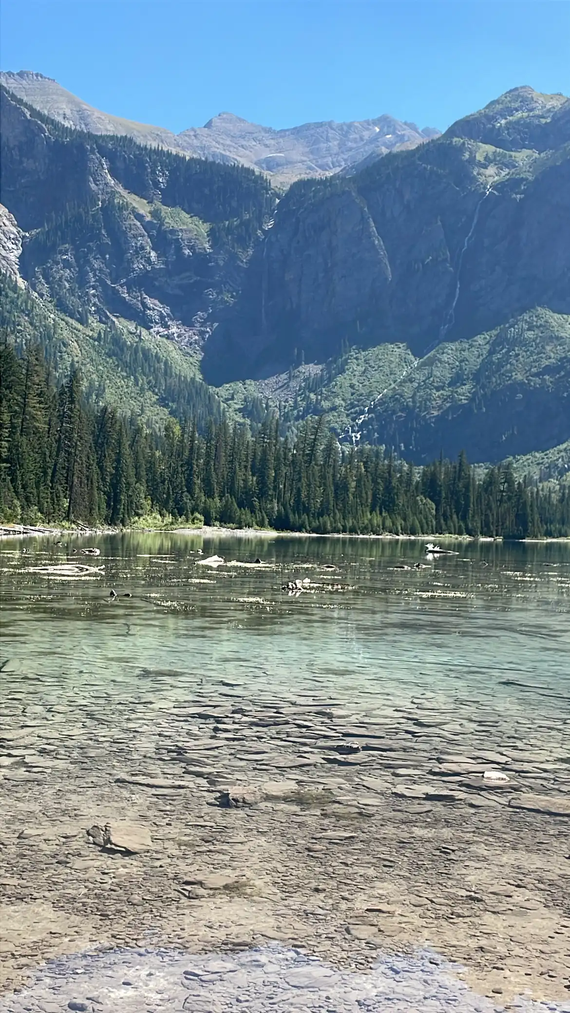 Clear shallow lake water below forested cliffs and peaks