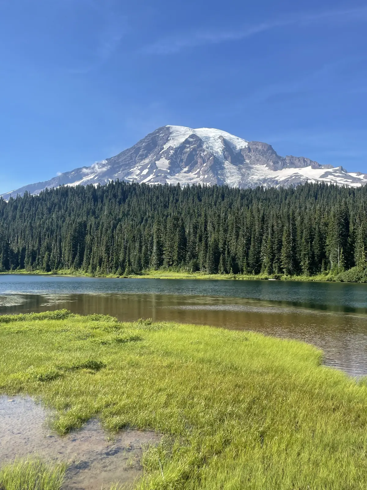 Mount Rainier above a wildflower meadow and lake