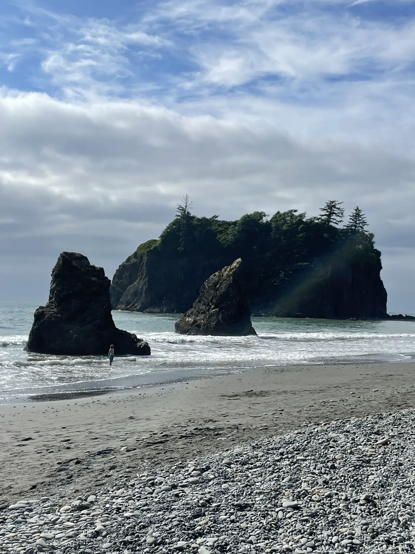 Forested sea stacks rising off a pebbly beach