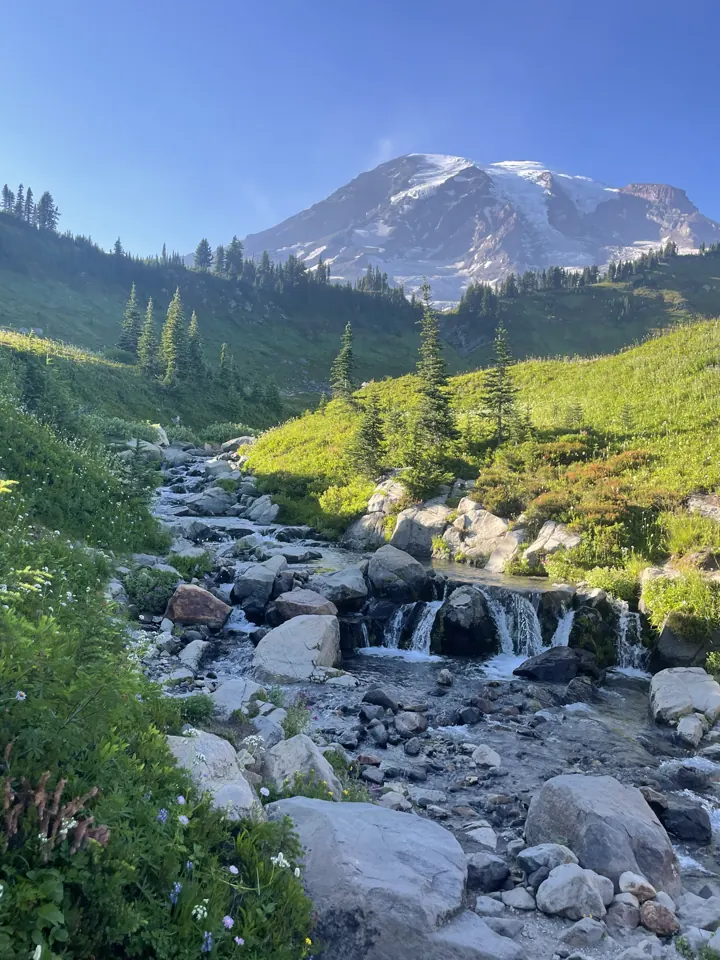 Rocky creek flowing through a valley below Mount Rainier