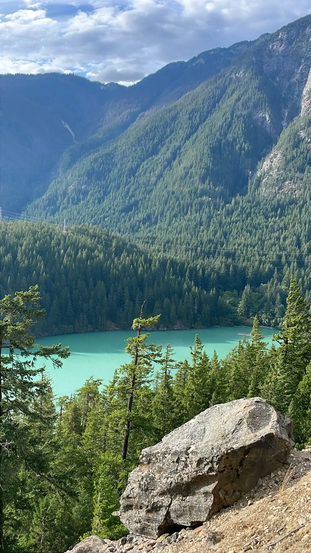 Turquoise lake below forested mountains, boulder in the foreground