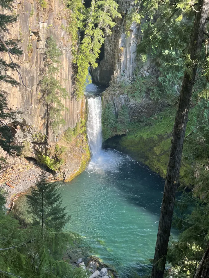 Waterfall plunging into a green pool in a basalt canyon